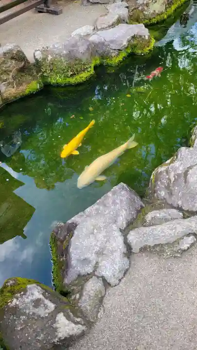 太宰府天満宮の{uncategorized: "未分類", other: "その他", undefined: "問題あり", building: "その他建物", grave: "お墓", sacred_gate: "鳥居", guardian: "狛犬", statue: "像", buddha: "仏像", history: "歴史", nature: "自然", garden: "庭園", animal: "動物", pagoda: "塔", temizu: "手水舎", mountain_gate: "山門・神門", sanctuary: "本殿・本堂", subordinate: "末社・摂社", art: "芸術", scenery: "景色", jizo: "地蔵", ema: "絵馬", goshuin: "御朱印", omikuji: "おみくじ", items: "授与品その他", amulet: "お守り", goshuincho: "御朱印帳", eats: "食事", festival: "お祭り", votive_dance: "神楽", shichigosan: "七五三参", wedding: "結婚式", experience: "体験その他", initially: "初詣", around: "周辺", anti_infection: "感染症対策"}