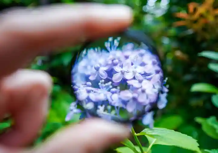 東大寺別院阿弥陀寺(山口県)