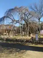 清瀧院(千葉県)