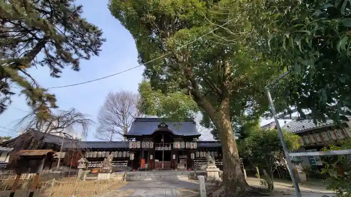 縣神社(京都府)