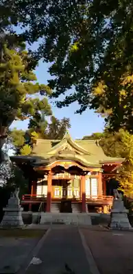 柴又八幡神社の本殿・本堂