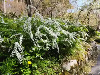 三千院門跡(京都府)
