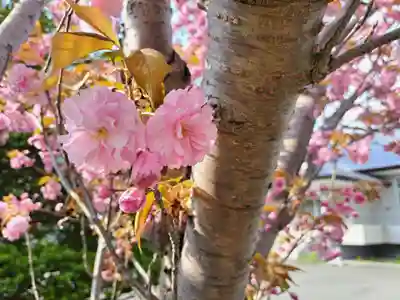 極楽山 浄土寺(北海道)