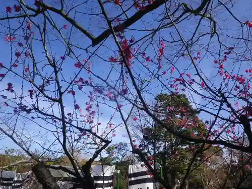 鶴岡八幡宮の自然