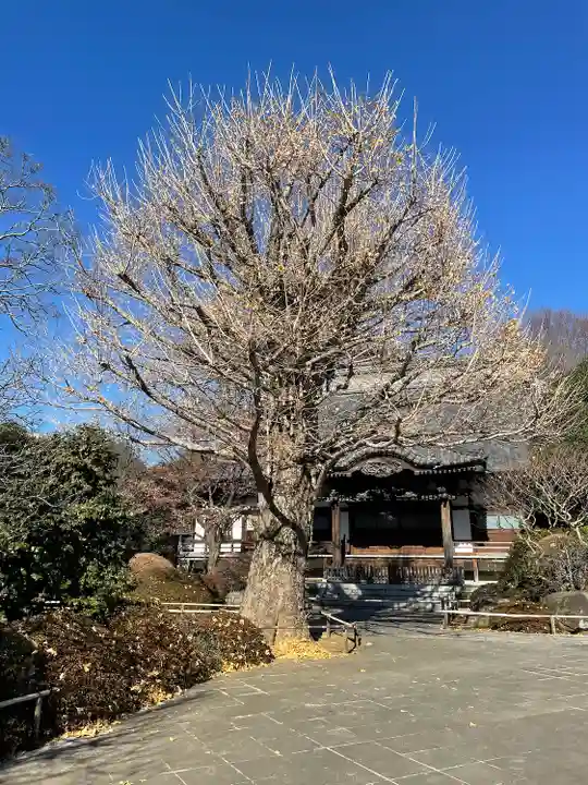 高円寺(東京都)