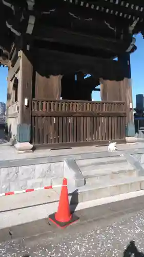 大音寺のその他建物