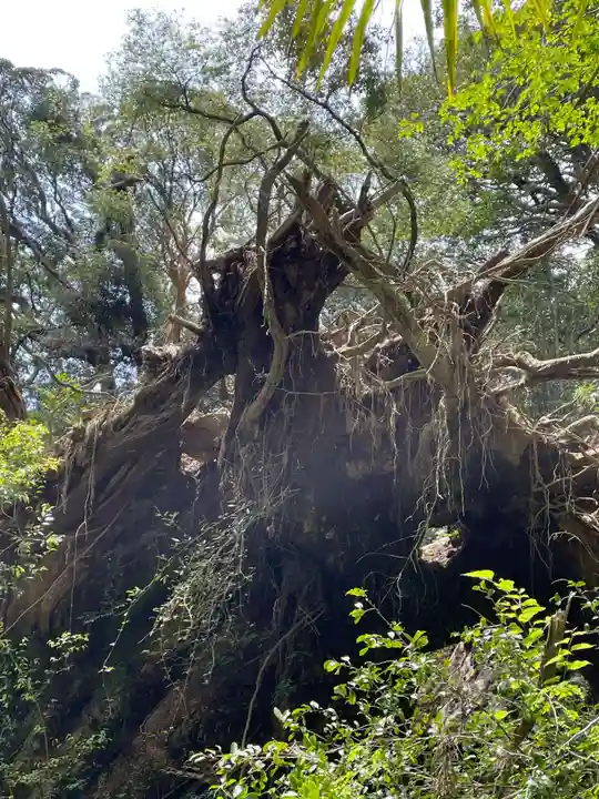 神峯神社(高知県)