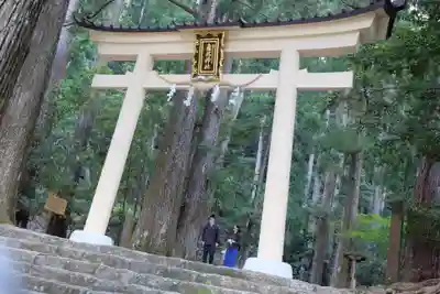 飛瀧神社(熊野那智大社別宮)の鳥居