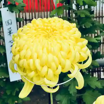 喜多院(埼玉県)