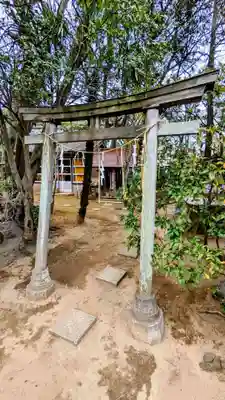 厳嶋神社の鳥居