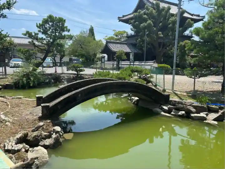 大樹寺(松安院大樹寺)(愛知県)