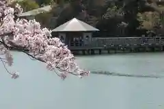 長岡天満宮の景色