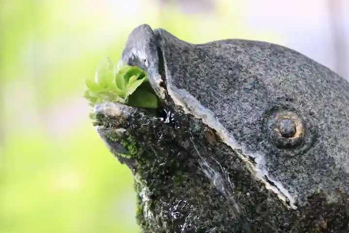 神炊館神社 ⁂奥州須賀川総鎮守⁂の手水舎