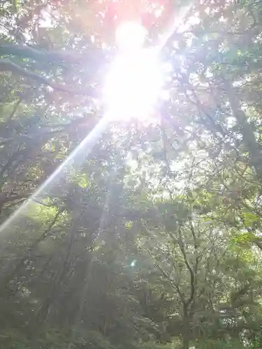 足高神社の自然