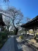 船橋不動尊 寳性寺のその他建物