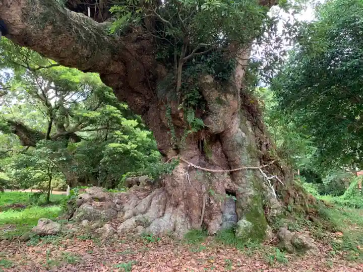 宇賀神社(千葉県)