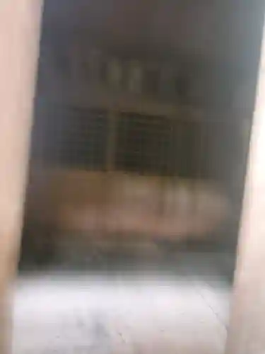 諏訪神社／文殊堂の本殿・本堂