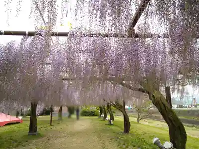 和氣神社(和気神社)の自然