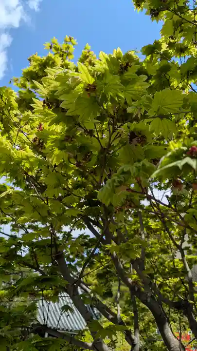了徳院(大阪府)