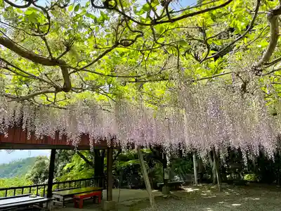唐澤山神社(栃木県)