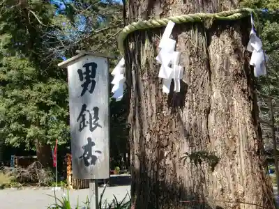 大宮八幡宮のその他建物