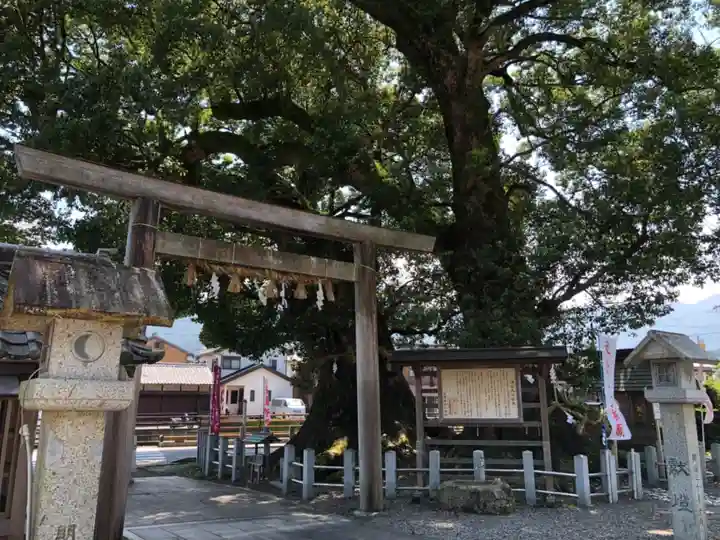 尾鷲神社の鳥居