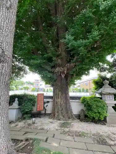 宗仲寺(神奈川県)