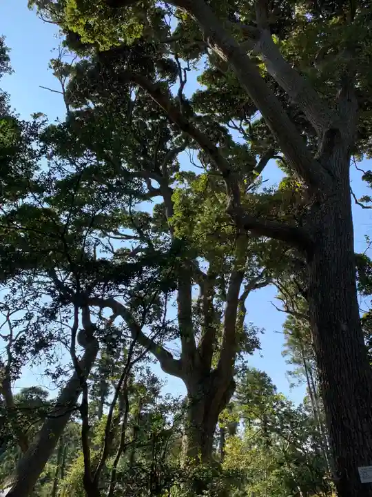 野田神社の自然