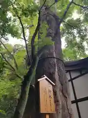 川越氷川神社の歴史