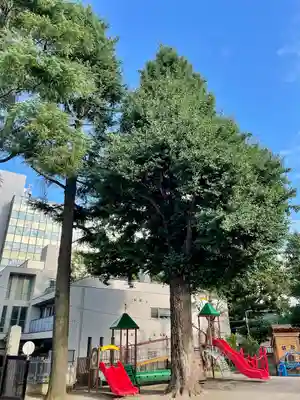 圓能寺(東京都)