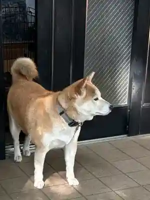 笠䅣稲荷神社(神奈川県)