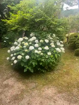 隆国寺(兵庫県)