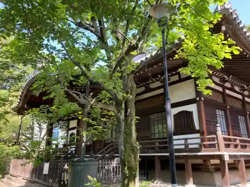 法明寺(東京都)