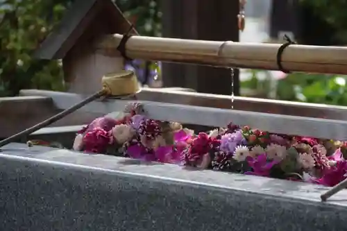 豊景神社の手水