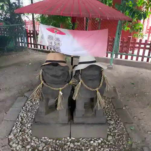 浅草神社の狛犬