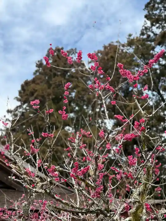 小國神社(静岡県)