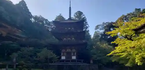 西明寺の塔