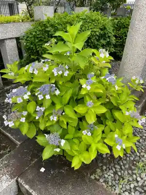 出世稲荷神社／豊国稲荷神社(東京都)