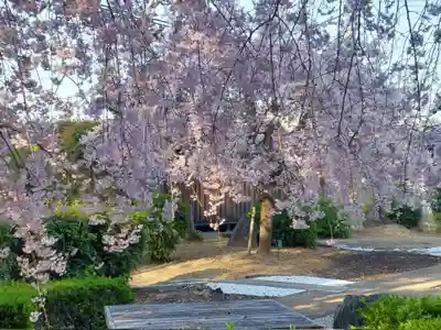 刺田比古神社(和歌山県)