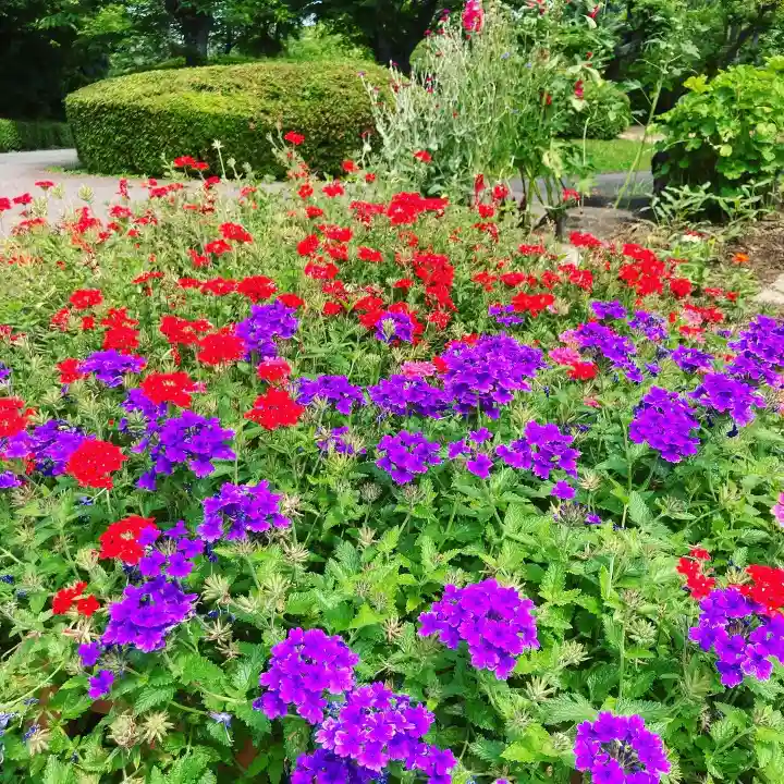 多治速比売神社の自然