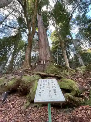 貴船神社結社(京都府)