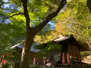 普門寺(切り絵御朱印発祥の寺)(愛知県)(2023年11月14日(火) 16時18分09秒投稿)