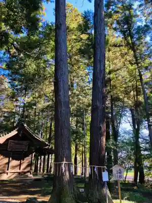 間々田八幡宮(栃木県)