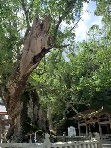 大山祇神社(愛媛県)
