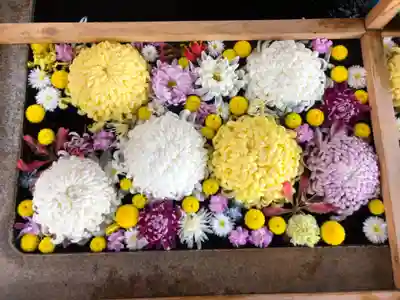 津島神社の手水舎