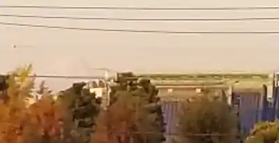 題経寺(柴又帝釈天)(東京都)