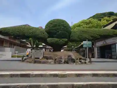 照國神社の{uncategorized: "未分類", other: "その他", undefined: "問題あり", building: "その他建物", grave: "お墓", sacred_gate: "鳥居", guardian: "狛犬", statue: "像", buddha: "仏像", history: "歴史", nature: "自然", garden: "庭園", animal: "動物", pagoda: "塔", temizu: "手水舎", mountain_gate: "山門・神門", sanctuary: "本殿・本堂", subordinate: "末社・摂社", art: "芸術", scenery: "景色", jizo: "地蔵", ema: "絵馬", goshuin: "御朱印", omikuji: "おみくじ", items: "授与品その他", amulet: "お守り", goshuincho: "御朱印帳", eats: "食事", festival: "お祭り", votive_dance: "神楽", shichigosan: "七五三参", wedding: "結婚式", experience: "体験その他", initially: "初詣", around: "周辺", anti_infection: "感染症対策"}
