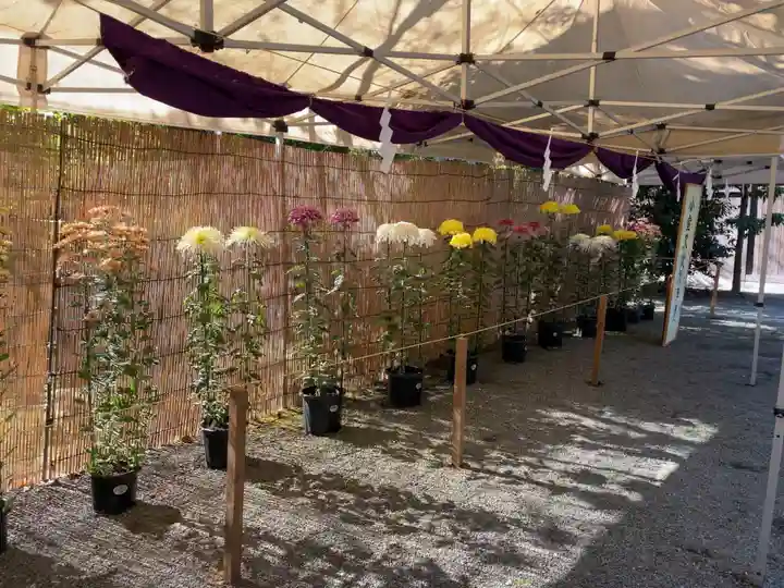 曾屋神社のお祭り