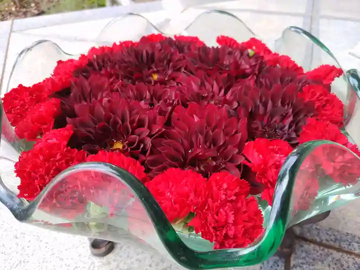 徳星寺(埼玉県)