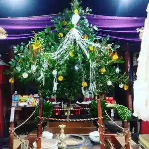 持正院(徳島県) 2023年03月05日(日)〜(2023年03月05日(日) 08時06分17秒投稿)